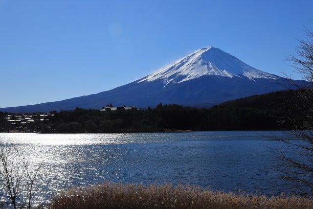 「旧り行くならば大和の言葉を」